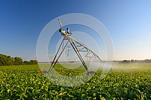 Farm Pivot Irrigation System Watering a Crop