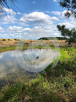 Farm Pond