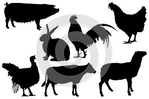 Farm poultry livestock silhouette set