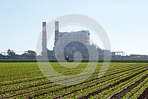 Farm with Power Plant in Background