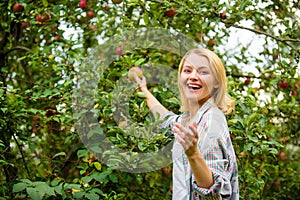 Farm produce organic natural product. Girl rustic style gather apples harvest garden autumn day. Farmer picking ripe