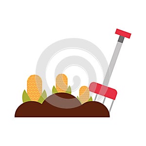 Farm rake with corn cultivate