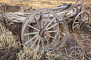 Farm and ranch wagon in sage brush