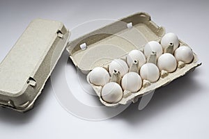 Farm raw fresh egg in pack on white table. Open egg boxes with white eggs isolated on white background with clipping path