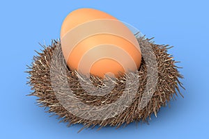 Farm raw organic brown eggs bird nest isolated on blue background