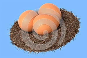 Farm raw organic brown eggs bird nest isolated on blue background
