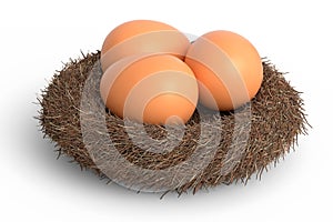 Farm raw organic brown eggs bird nest isolated on white background