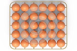 Farm raw organic brown eggs for morning breakfast in metal tray