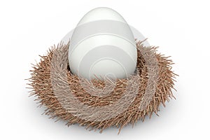 Farm raw organic white sugar-coated eggs bird nest isolated on white background