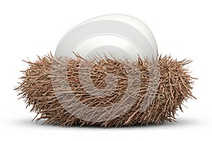Farm raw organic white sugar-coated eggs bird nest isolated on white background