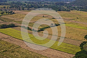 Farm rice high view in Thailand