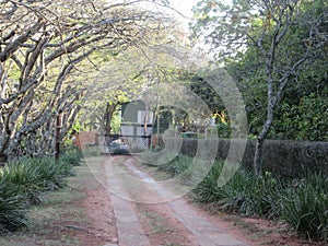 Farm Road