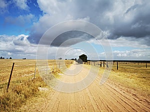 Farm road Darling South Africa