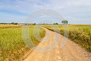 Farm road and houses in Vale Seco, Santiago do Cacem photo