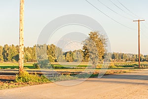 Farm road and snowcapped Mountain Rainier at background in Kent, Washington at sunset