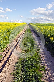 Strade primavera stupro 