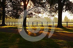 The farm road in the sunlight