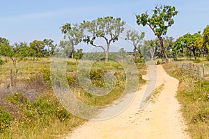 Farm road in Vale Seco, Santiago do Cacem