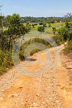 Farm road in Vale Seco, Santiago do Cacem