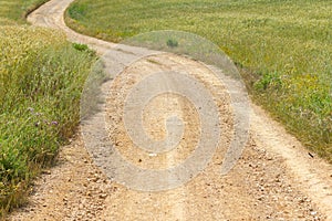 Farm road in Vale Seco, Santiago do Cacem photo