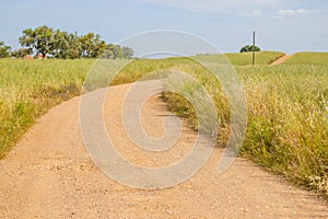 Farm road in Vale Seco, Santiago do Cacem photo