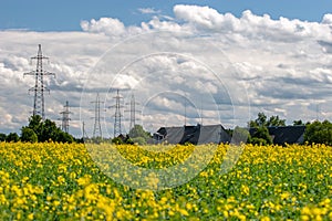 Farm roof behind a field with yellow flowers.