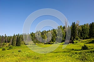 Farm ruins in wilderness