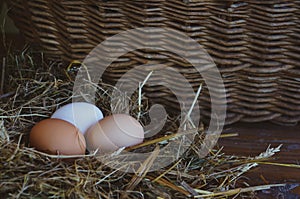 Farm rustic chicken eggs in a nest on a wooden panel