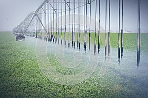 Farm's crop being watered by sprinkler irrigation system