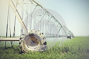 Farm's crop being watered by sprinkler irrigation system photo