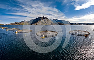 Farm salmon fishing in Norway