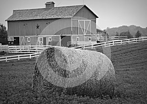 Farm Scene