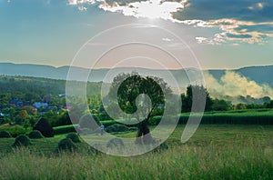 Farm Scene in Breb Maramures Romania