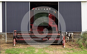 farm scene, cow and a combine