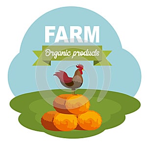 Farm scene organic products label. Flat vector illustration