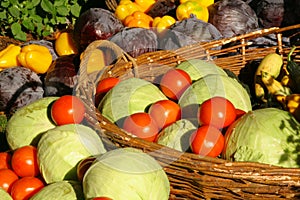 Farm seasonal vegetable