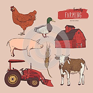 Farm set. Hand drawn illustration vector.