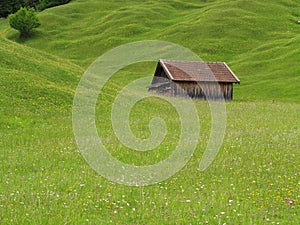 Farm shed in green hills of alpine upland summer season nature