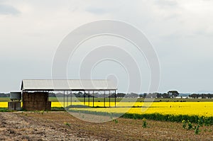 Farm shed near Ballarat, Australia