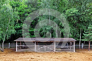 Farm shelter pasture for cloven-hoofed animals.