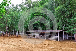 Farm shelter pasture for cloven-hoofed animals with a barn canopy.