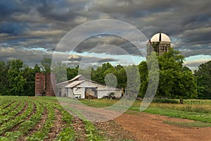 Farm with silos and dirt roat with crops