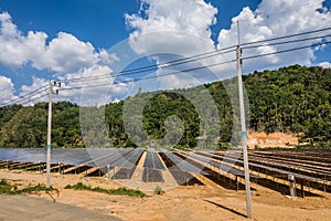 Farm of solarcell