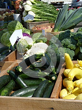 Farm stall at the market