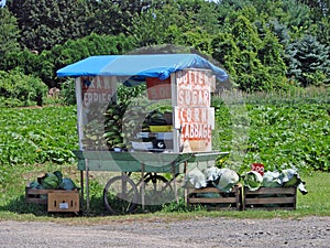 Farm Stand