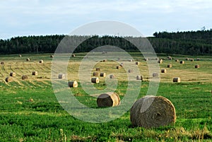 Farm with straw piles