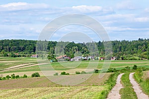 Farm in Summer