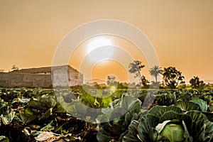 Farm With Sun And Barn