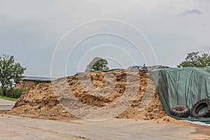 A farm there is a huge mountain of fodder silage