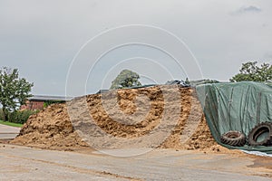 a farm there is a huge mountain of fodder silage